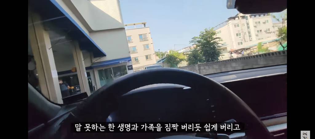 가족들 몰래 고양이를 갖다버린 아빠 | 인스티즈