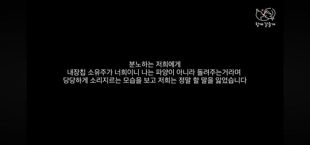 입양 일주일만에 역대급 황당한 이유로 파양당한 강아지 (분노주의) | 인스티즈