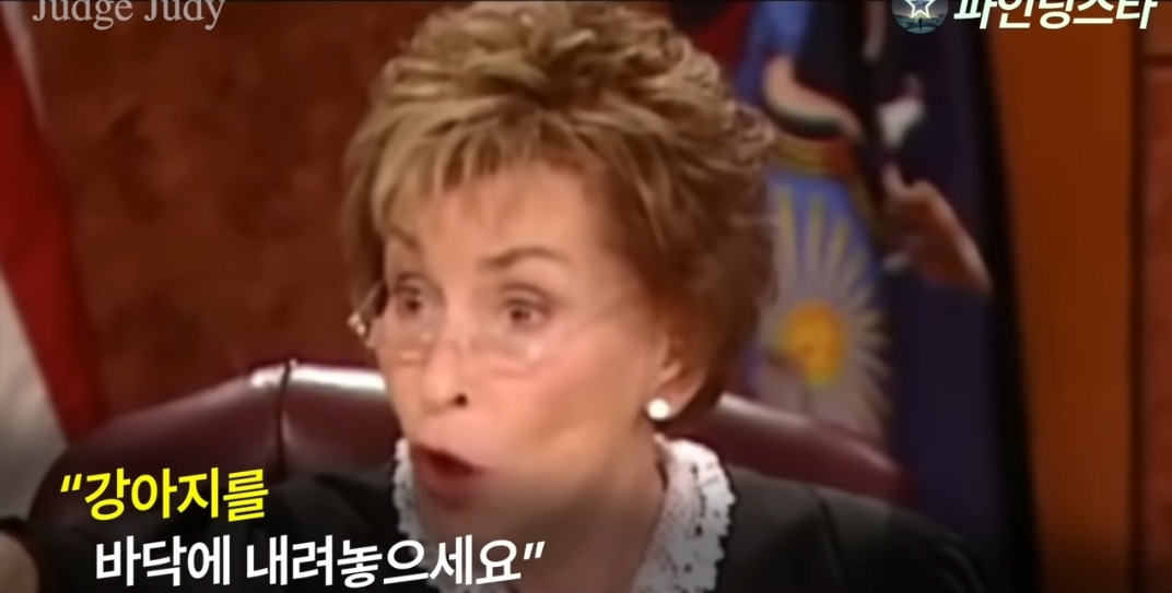 서로 자기 강아지 맞다고 싸우다가 법정까지 감.gif | 인스티즈