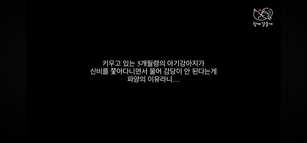 입양 일주일만에 역대급 황당한 이유로 파양당한 강아지 (분노주의) | 인스티즈