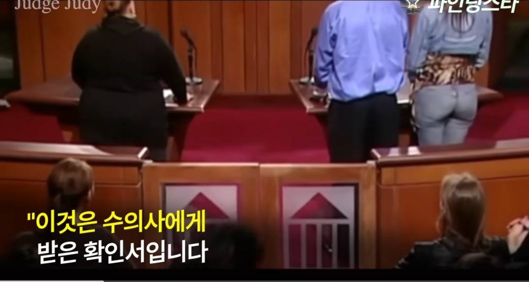 서로 자기 강아지 맞다고 싸우다가 법정까지 감.gif | 인스티즈