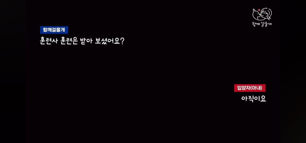 입양 일주일만에 역대급 황당한 이유로 파양당한 강아지 (분노주의) | 인스티즈