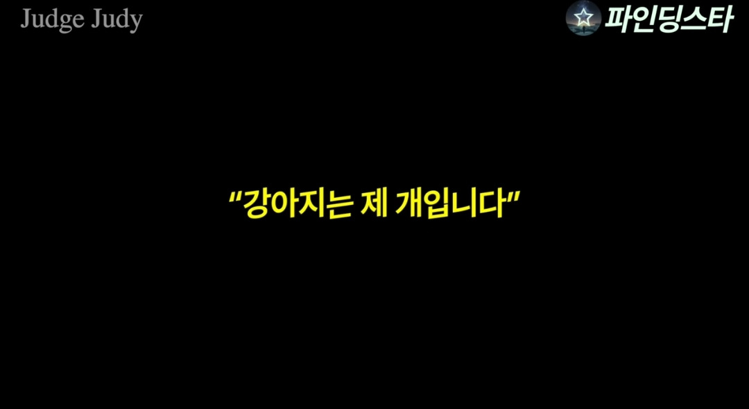 서로 자기 강아지 맞다고 싸우다가 법정까지 감.gif | 인스티즈