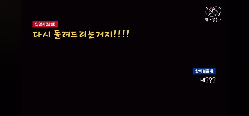 입양 일주일만에 역대급 황당한 이유로 파양당한 강아지 (분노주의) | 인스티즈