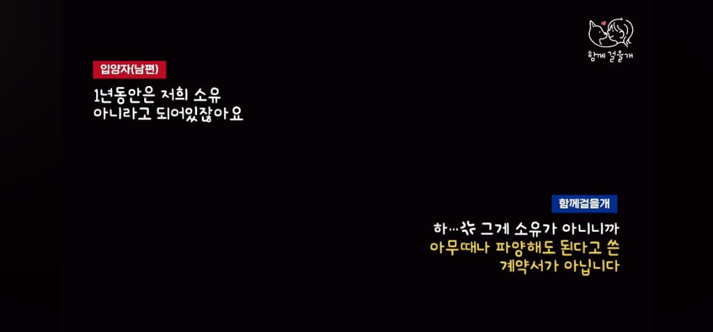 입양 일주일만에 역대급 황당한 이유로 파양당한 강아지 (분노주의) | 인스티즈