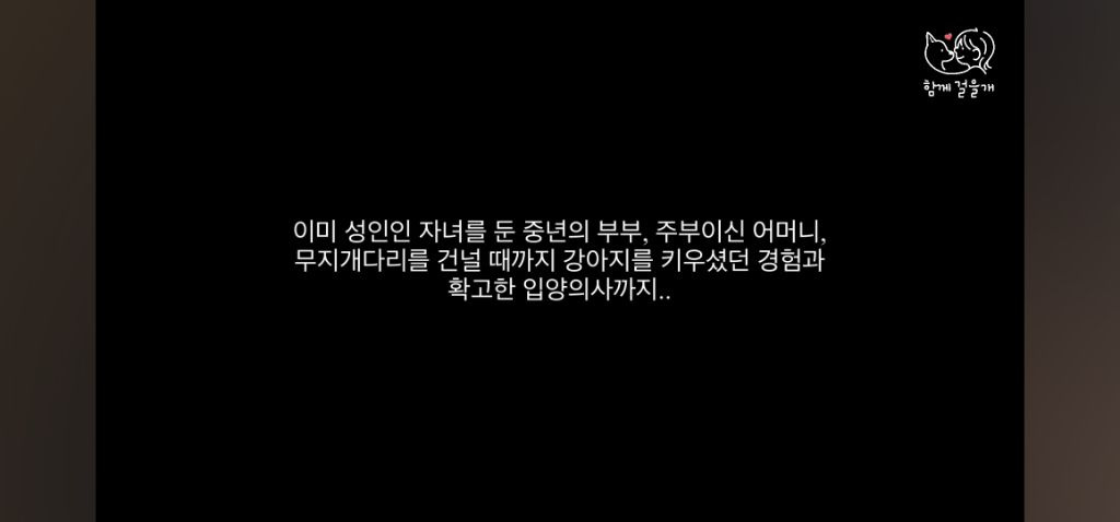 입양 일주일만에 역대급 황당한 이유로 파양당한 강아지 (분노주의) | 인스티즈