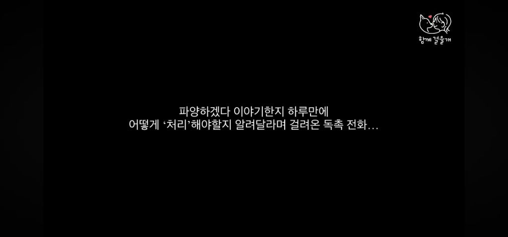 입양 일주일만에 역대급 황당한 이유로 파양당한 강아지 (분노주의) | 인스티즈