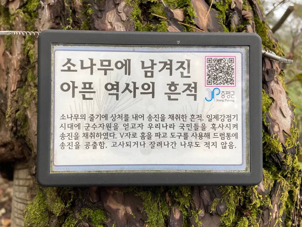 진짜 가지가지 했던 일본 | 인스티즈