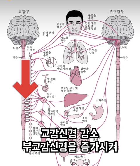 달리기 (러닝) 을 안하는게 손해인 이유 | 인스티즈