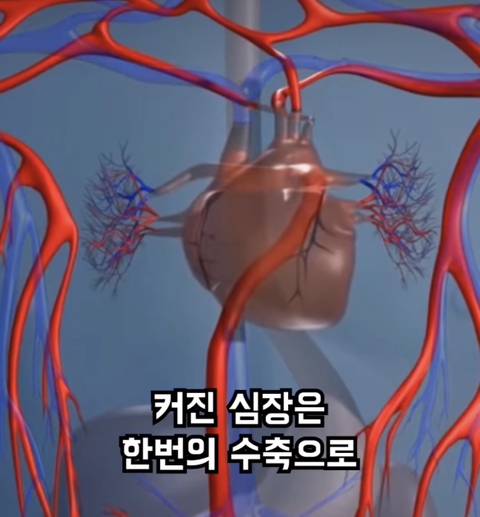 달리기 (러닝) 을 안하는게 손해인 이유 | 인스티즈