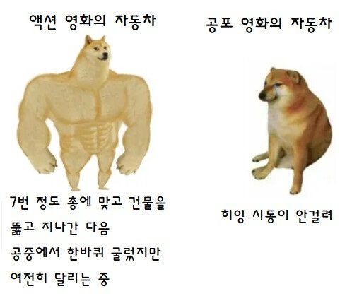 액션 영화 속 자동차, 공포 영화 속 자동차 | 인스티즈