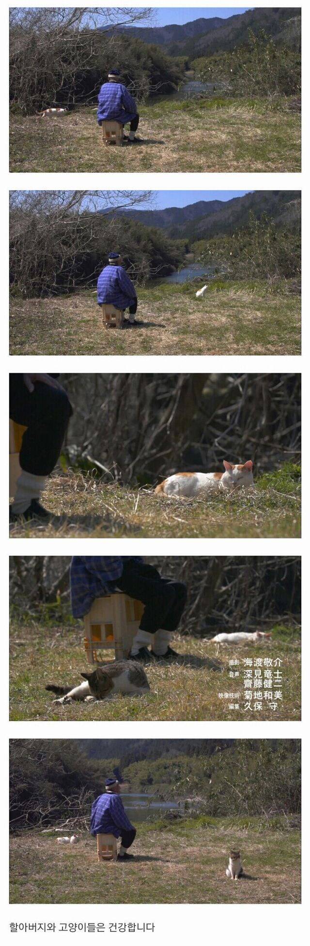 할아버지와 고양이 한마리가 강을 건너고 있습니다 | 인스티즈