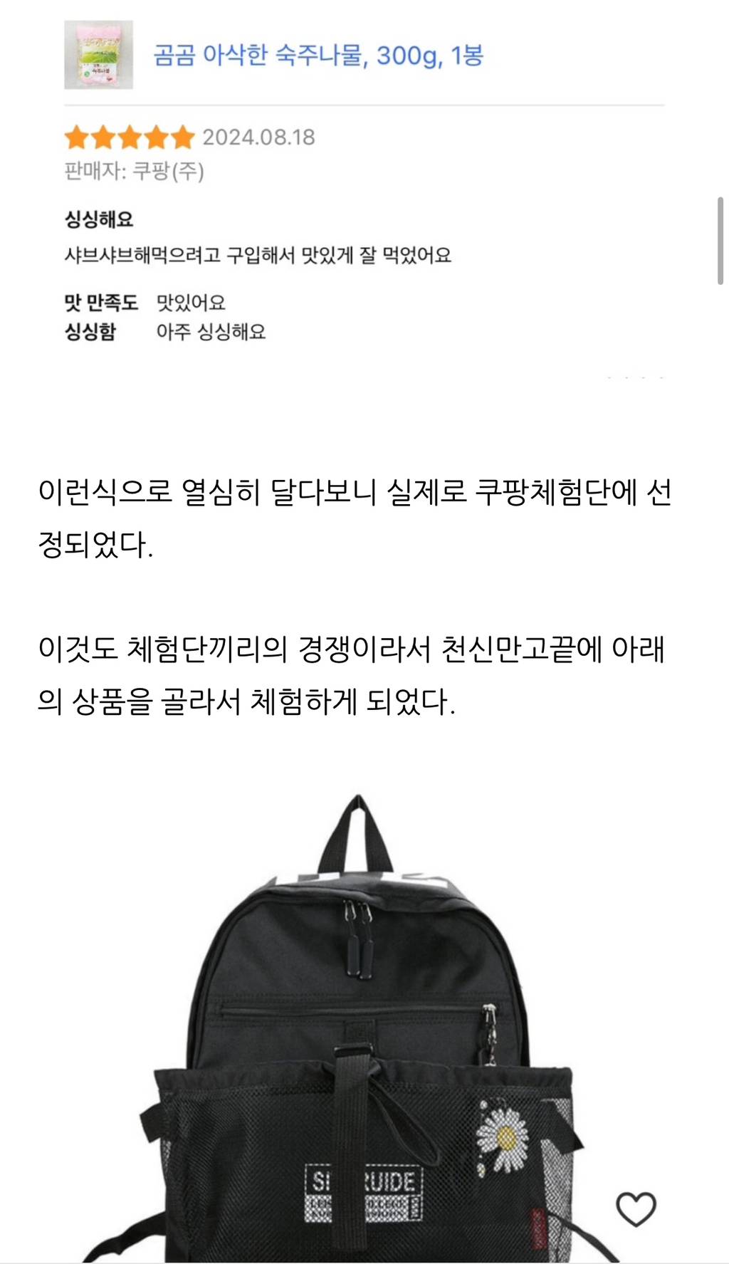 쿠팡체험단으로 내집마련 꿈꾸는 블로거 | 인스티즈