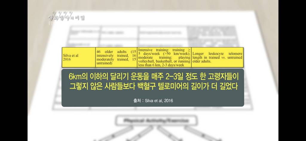 달리기 런닝 이거 완전 만병통치약임 | 인스티즈