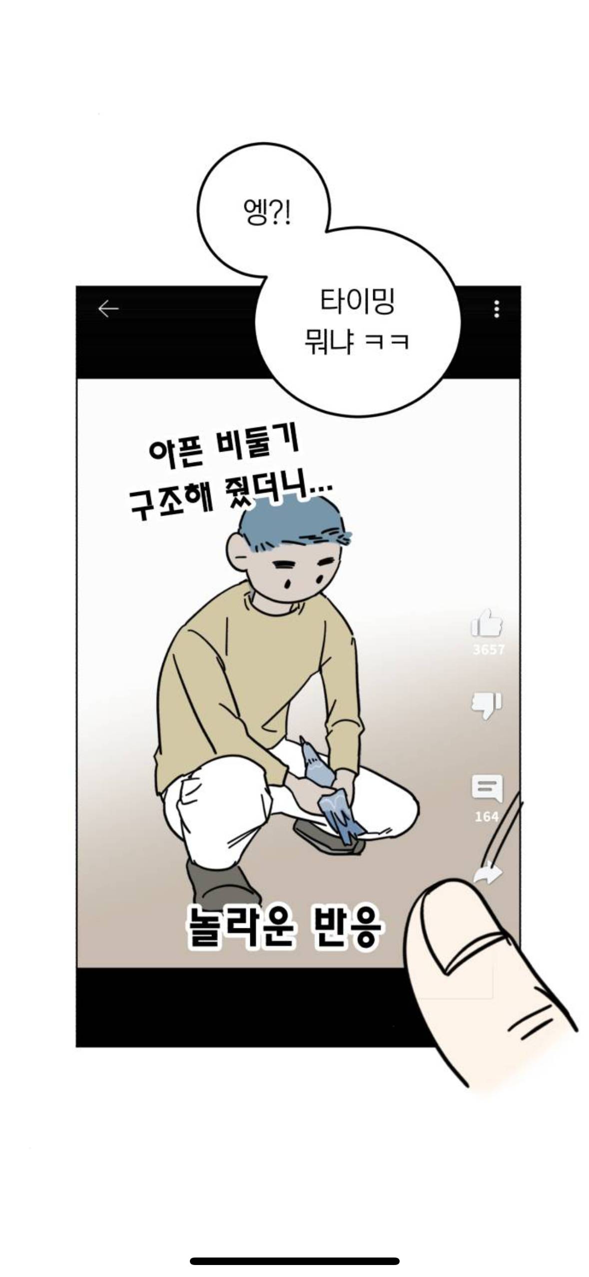 아니 내가 살다살다 비둘기를 볼려고 돈을쓰네 | 인스티즈