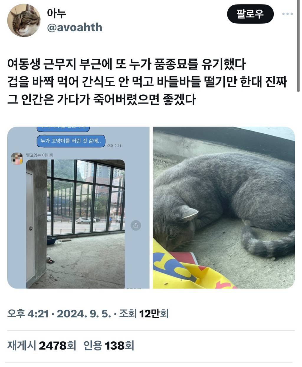 여동생 근무지 부근에 또 누가 품종묘를 유기했다 | 인스티즈