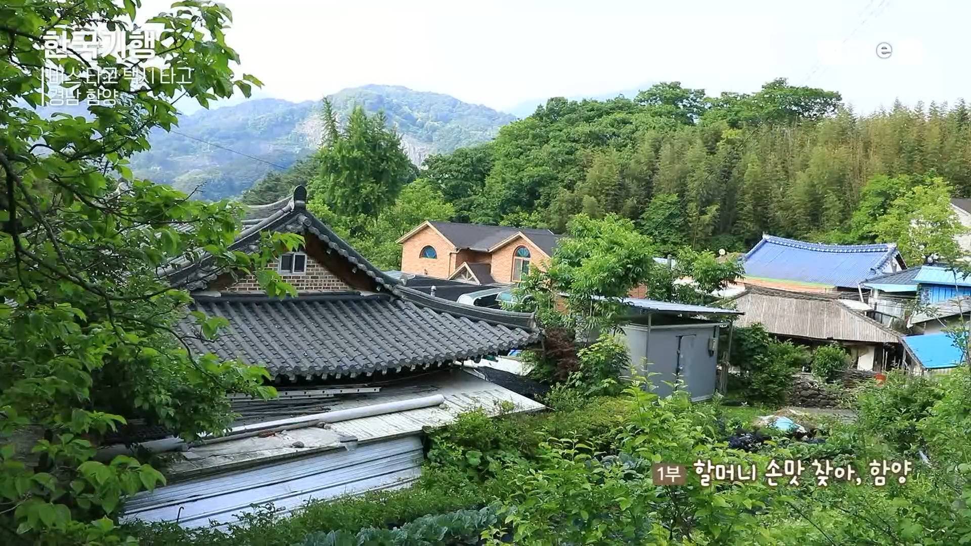 외국에서 예약하고 찾아온다는 경남 함양 할머니 민박집.jpg | 인스티즈