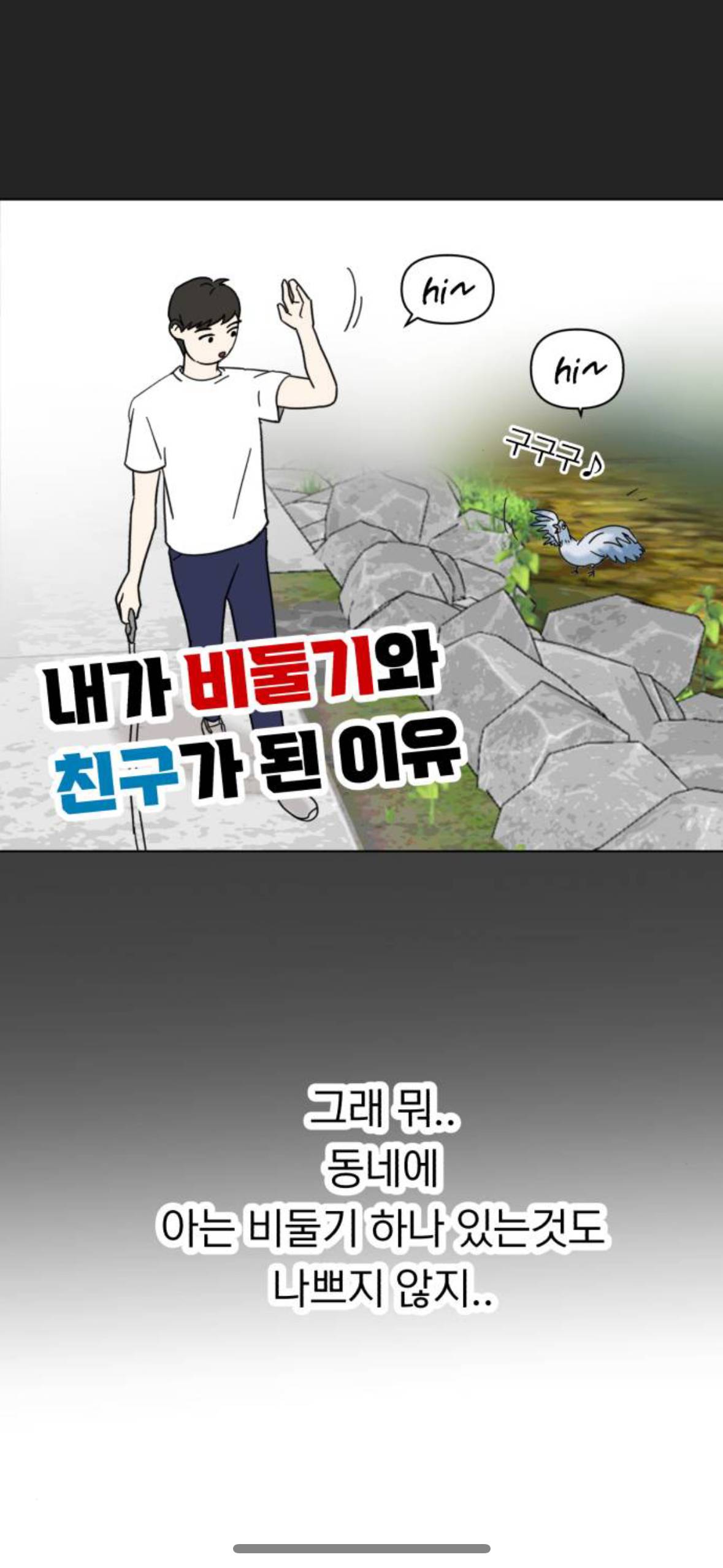 아니 내가 살다살다 비둘기를 볼려고 돈을쓰네 | 인스티즈