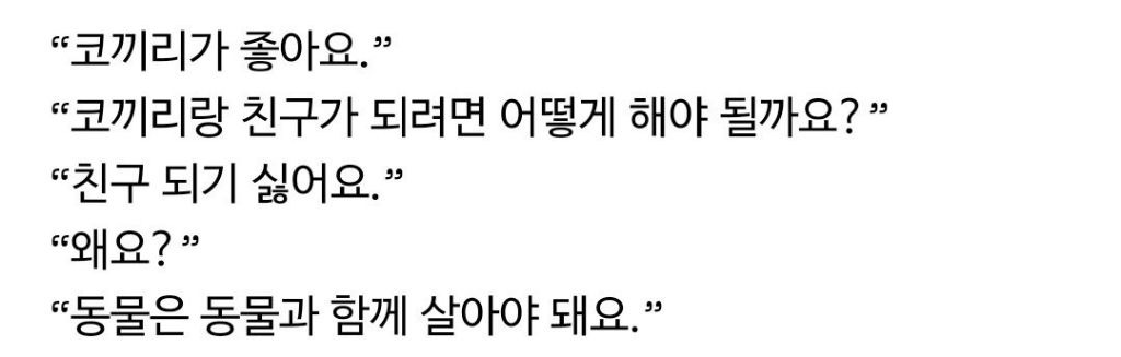 다양한 서울사람을 담은 인터뷰 | 인스티즈