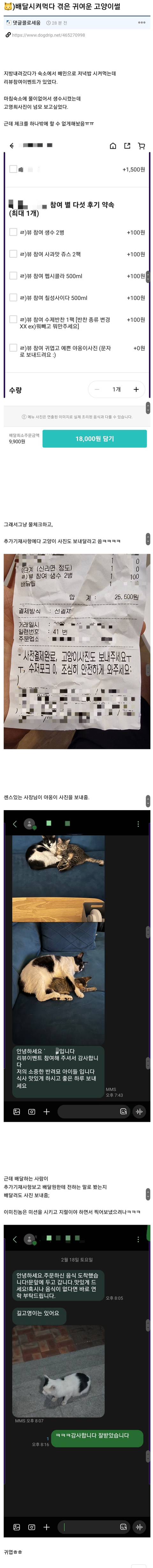 배달시켜먹다 겪은 귀여운 고양이 썰 ㅋㅋㅋㅋㅋㅋ | 인스티즈