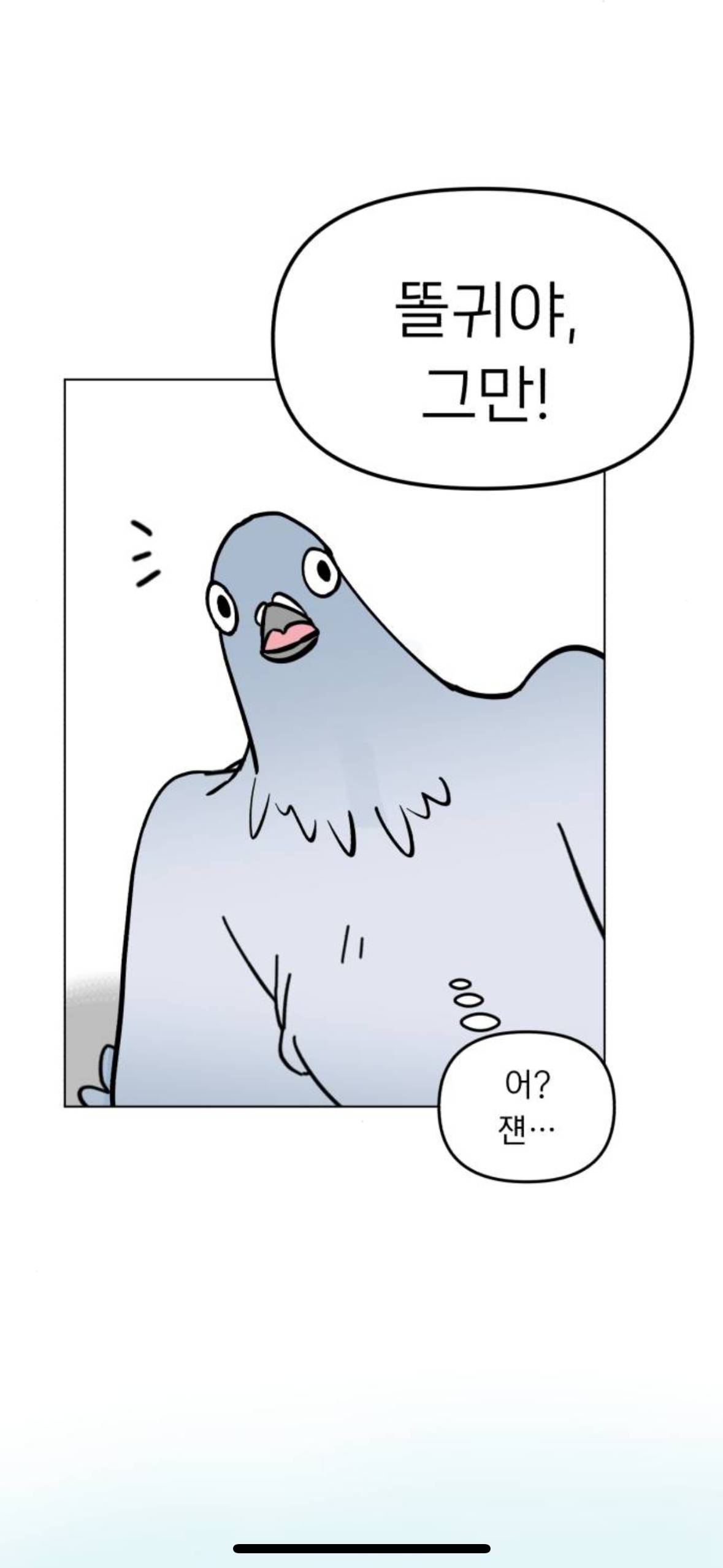 아니 내가 살다살다 비둘기를 볼려고 돈을쓰네 | 인스티즈