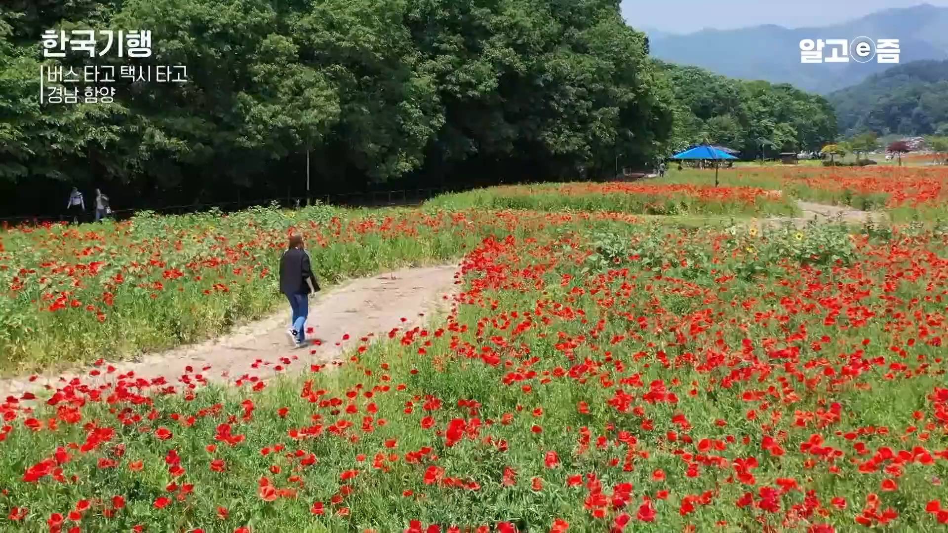 외국에서 예약하고 찾아온다는 경남 함양 할머니 민박집.jpg | 인스티즈