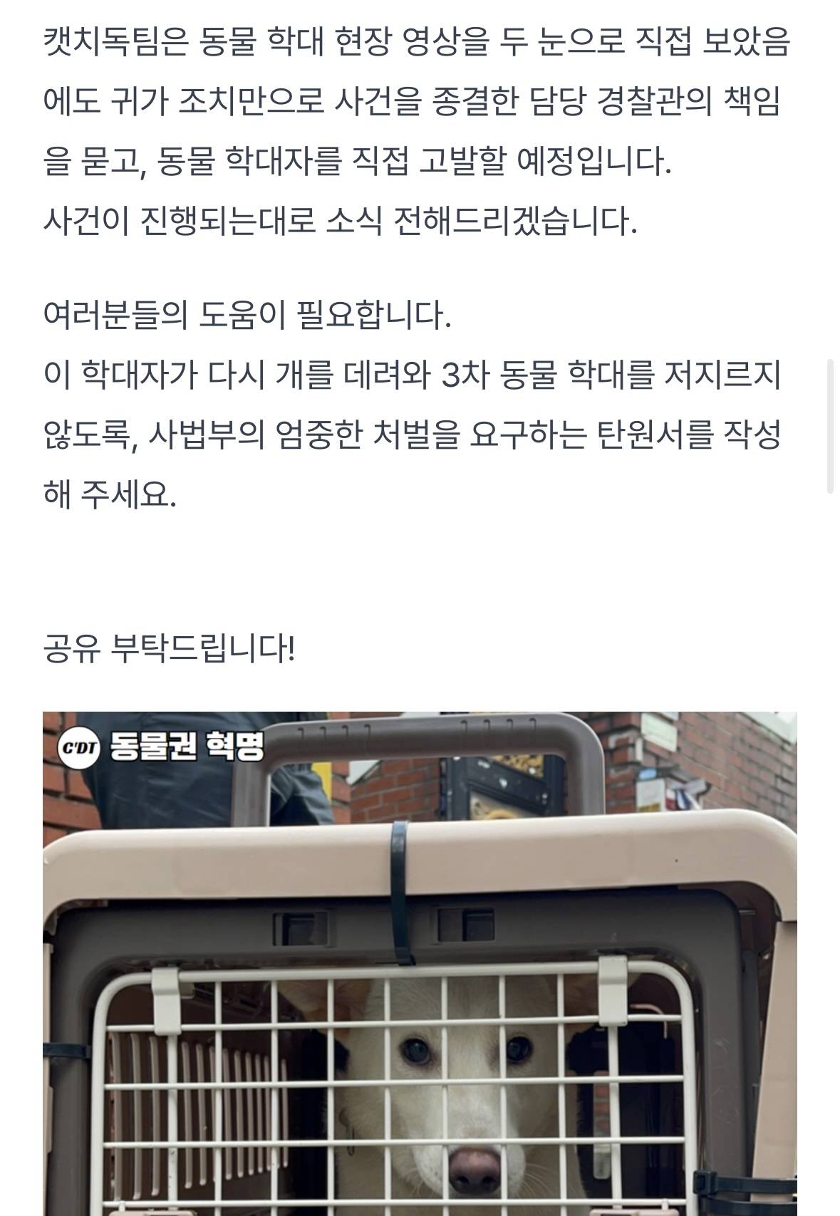 동물 학대자 "개 또 사오면 그만" | 인스티즈