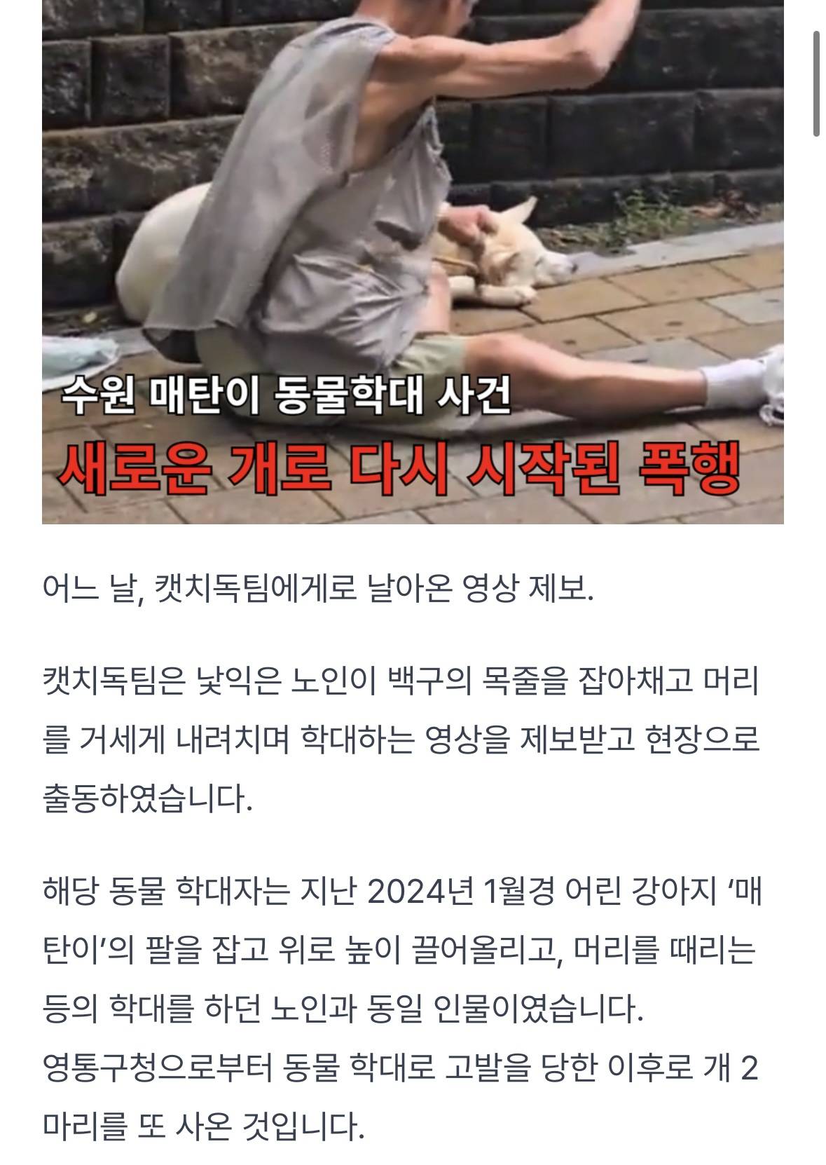 동물 학대자 "개 또 사오면 그만" | 인스티즈