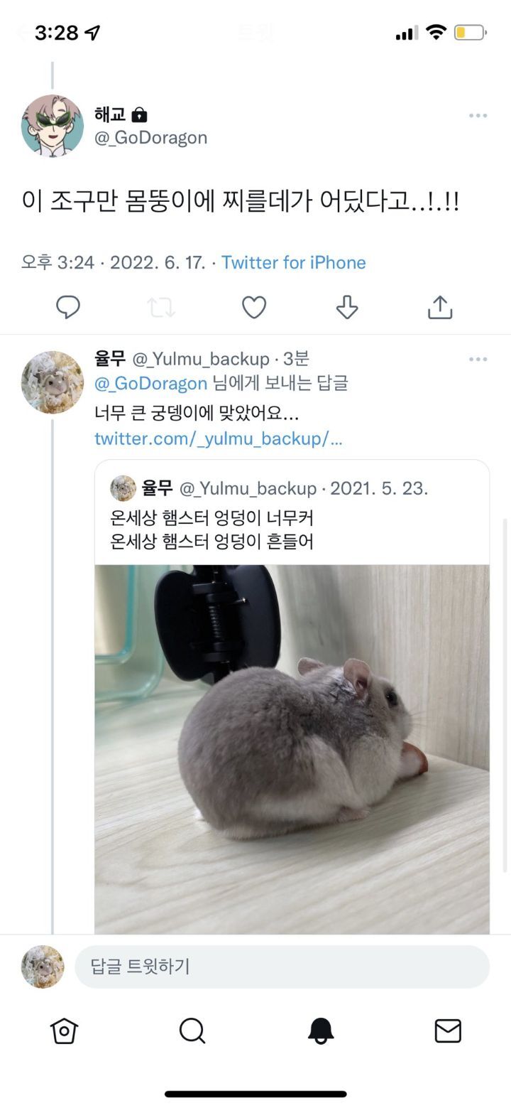 햄찌 주사맞았다니까 모두가 어디에 맞았는지 의문을 가짐... 궁뎅이에요 | 인스티즈