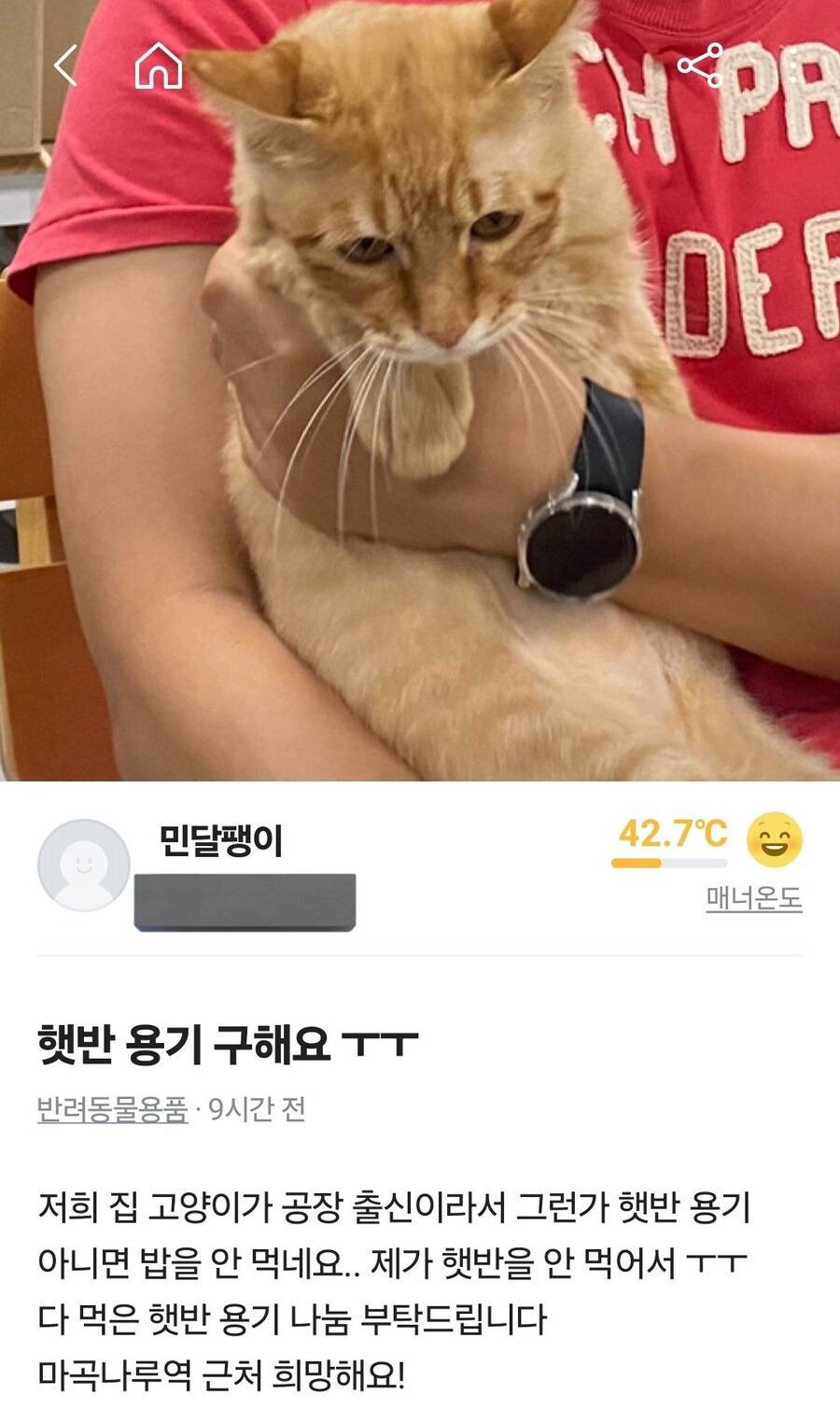 당근에서 빈 햇반용기를 구하는 사람 | 인스티즈