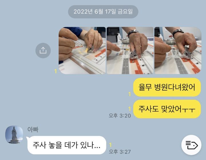 햄찌 주사맞았다니까 모두가 어디에 맞았는지 의문을 가짐... 궁뎅이에요 | 인스티즈