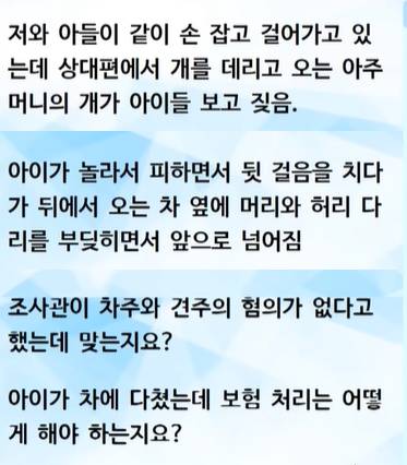 차주 잘못이다 vs 견주 잘못이다로 싸우고 있는 짤 | 인스티즈