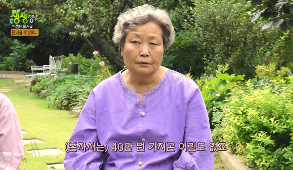 비혼여성의 로망 그자체인 생생정보통 세 할머니 | 인스티즈