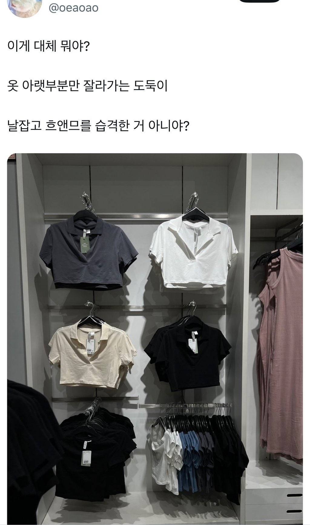 옷 아랫부분만 잘라가는 도둑이 흐앤므 습격한거 아니야? | 인스티즈