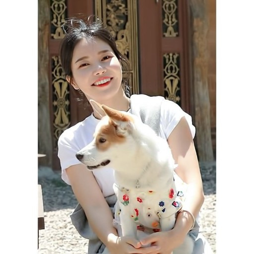 아이돌 반려견 모음 | 인스티즈