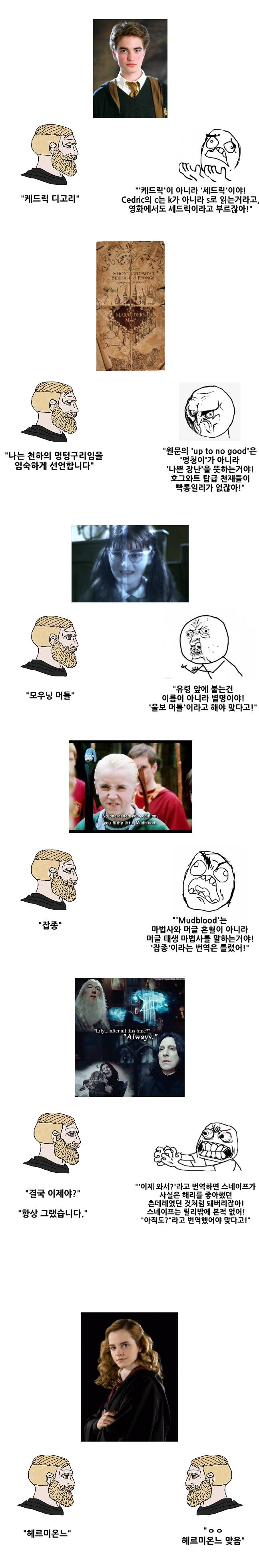 해리포터 원작팬들이 특히 극혐한다는 오역들 | 인스티즈