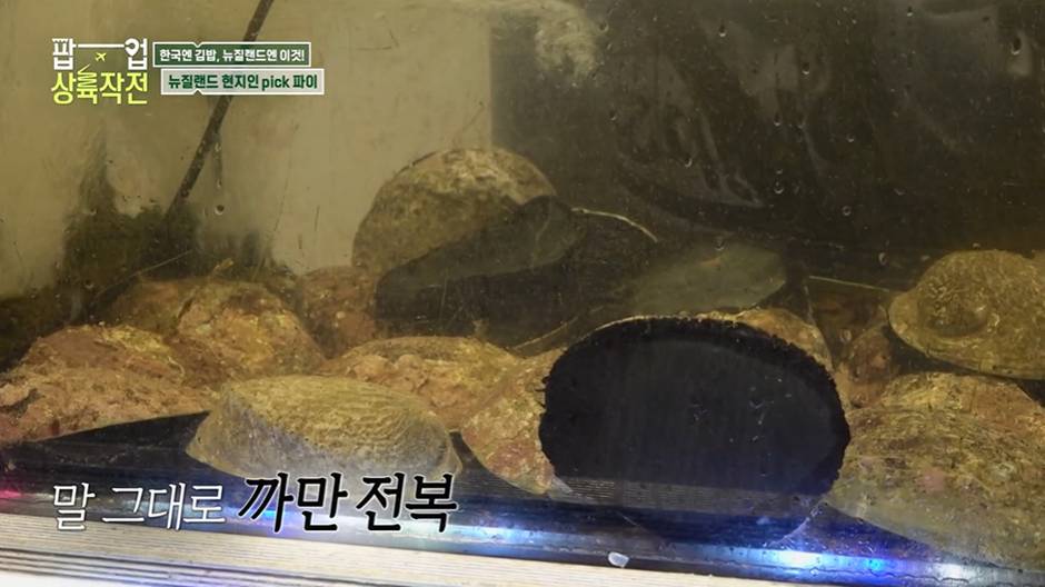김해준이 한국인 입맛 찰떡이라고 호언장담한 뉴질랜드 전복파이…jpg | 인스티즈