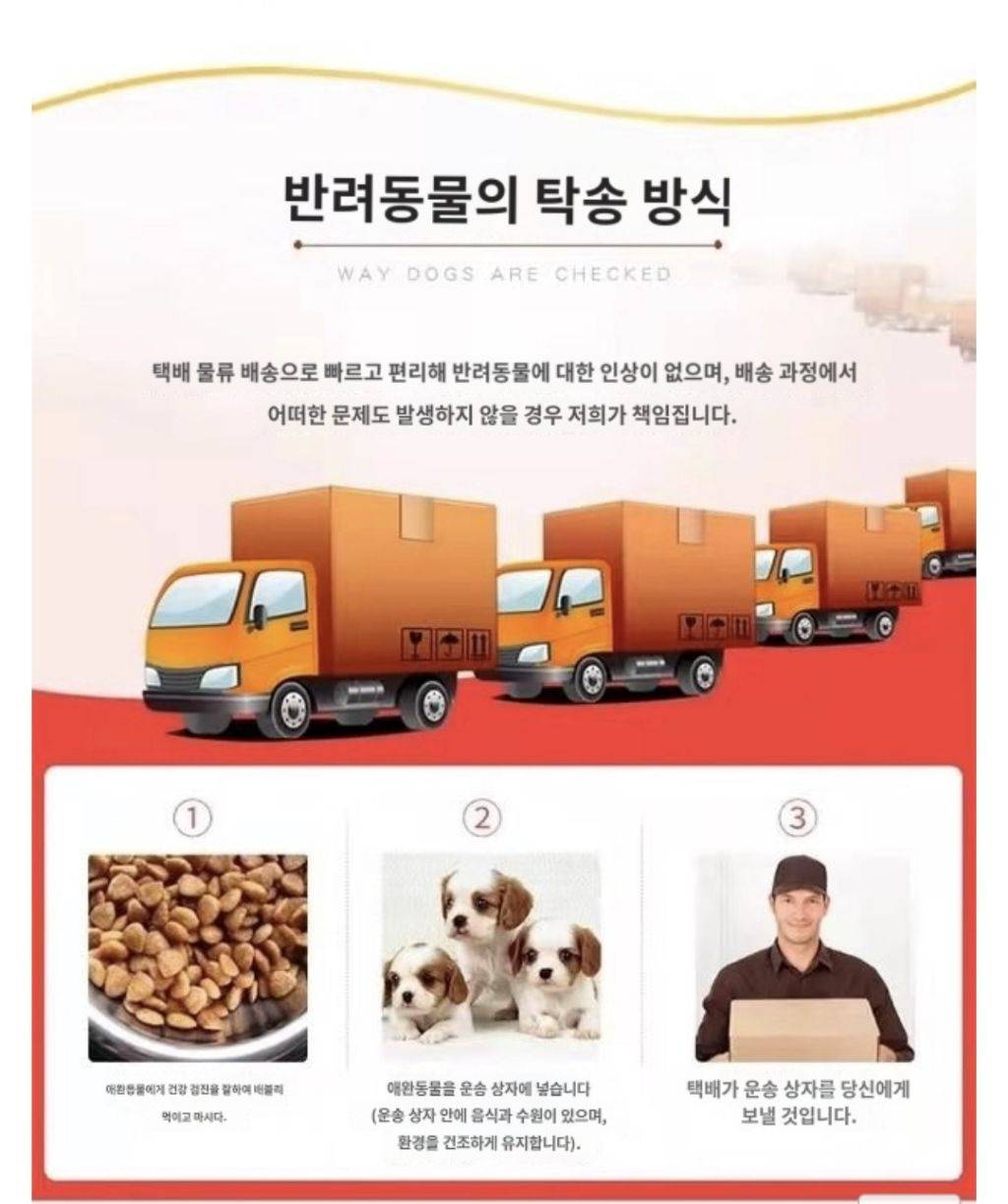 쿠팡에서 판매 중인 강아지 | 인스티즈