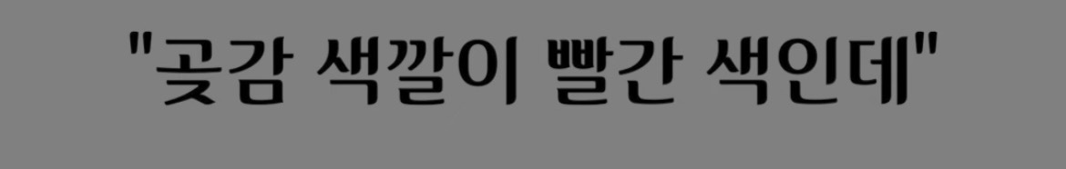 빨간 곶감 절대 그냥 먹으면 안되는 이유 | 인스티즈