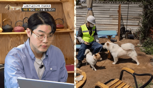 사회성 겁나 좋은 강아지 | 인스티즈