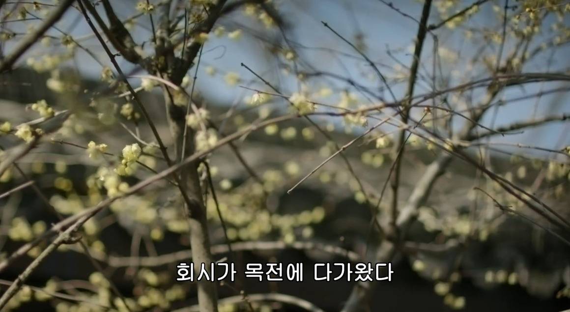 고대 중국에서 서녀로 살아남는 법, 녹비홍수 31화 | 인스티즈