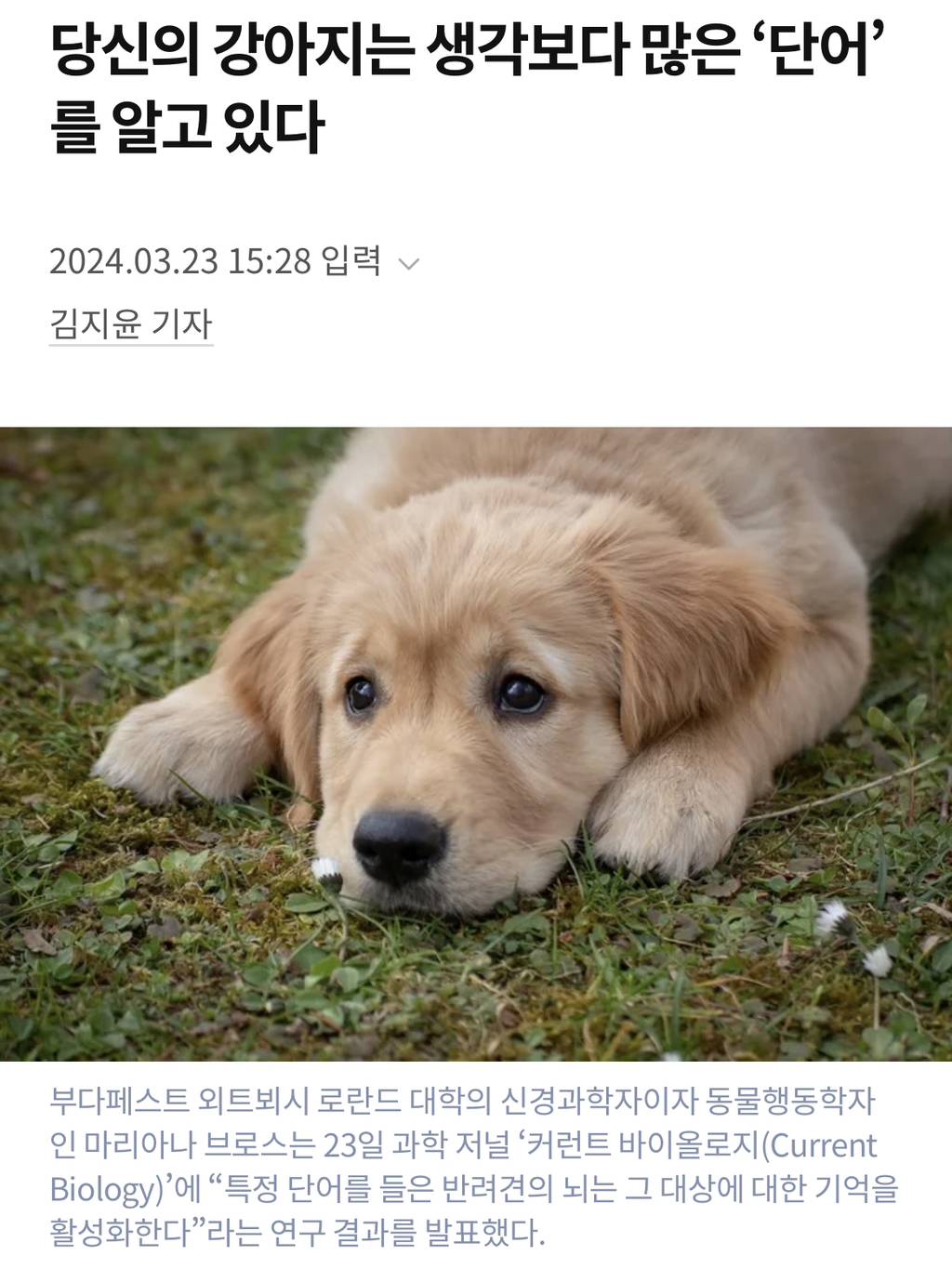 여시들은 강아지 키우면서 좋은 점이 뭐야? | 인스티즈