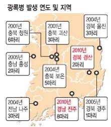 조용히 한국에서 퍼지고 있는 만성 소모성 질환(CWD, 광록병) | 인스티즈