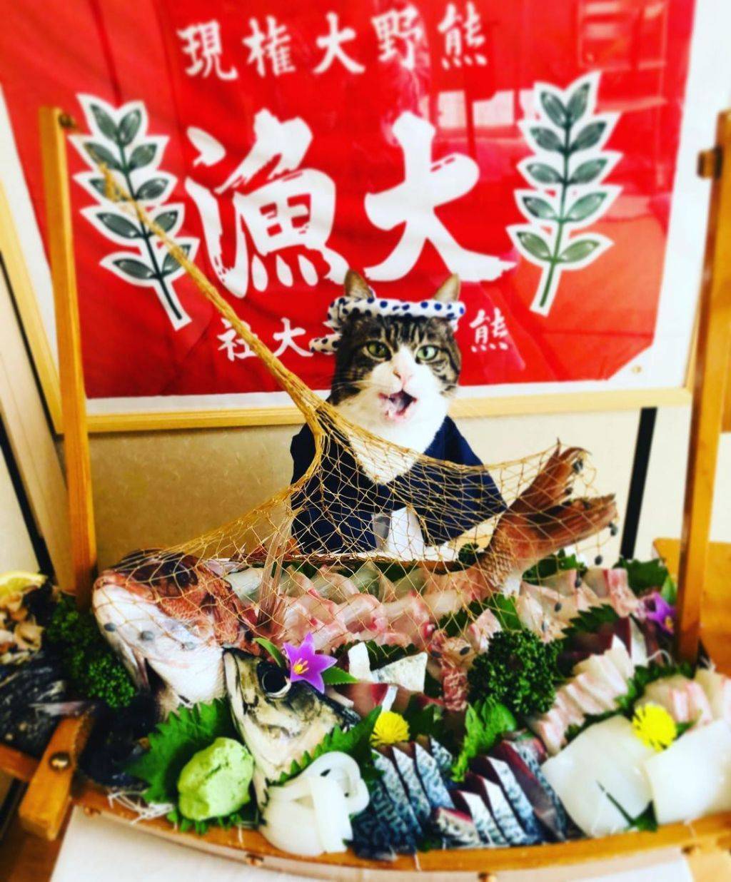 🐱어서오세요 오전에도 운영하는 고등어 식당 입니다~양손과 양발로 동시에 그림을 그리는 초능력 화가 | 인스티즈