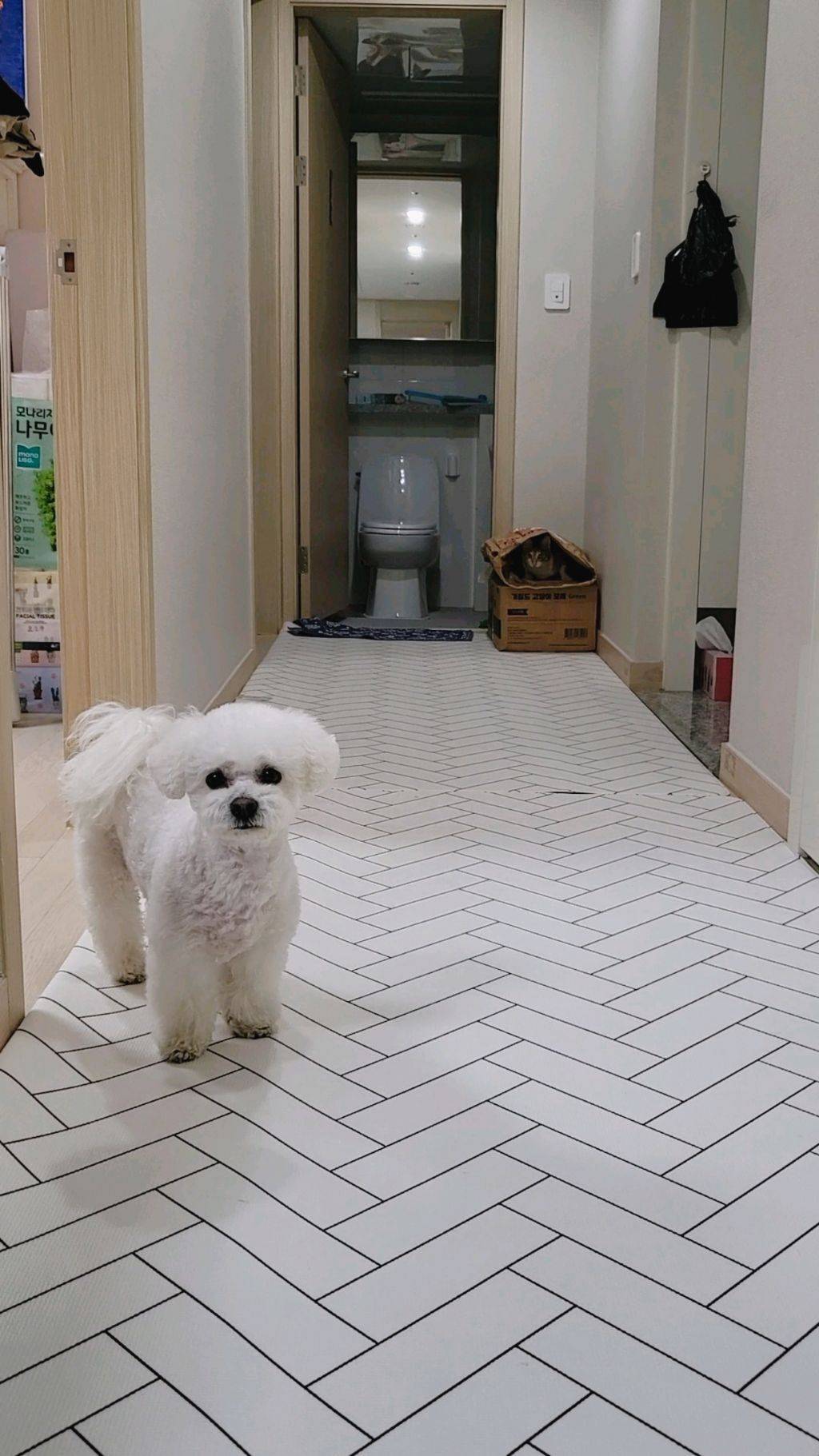 프사 땜에 못참고 사담거는 업체 직원들 넘 웃김 ++ 월요일이니까 조금 더 추가,,, | 인스티즈