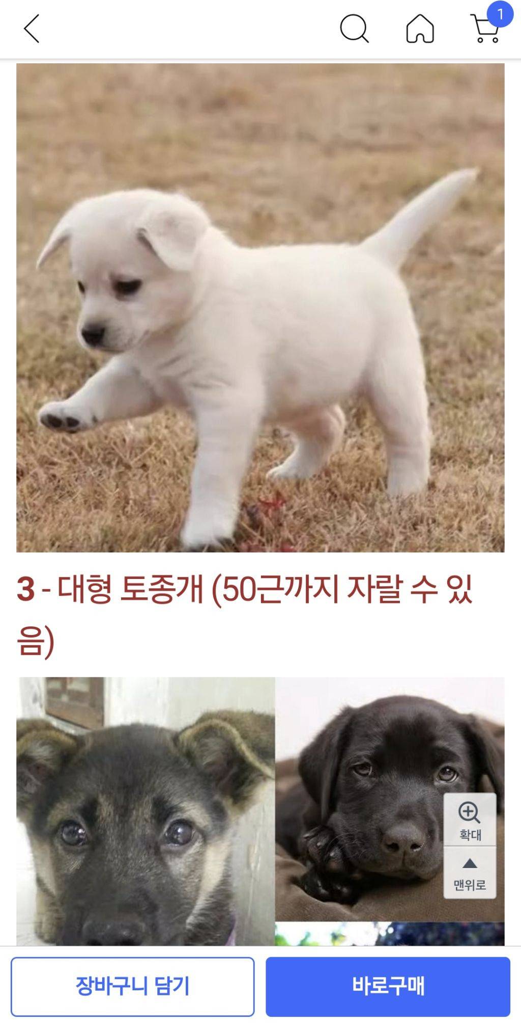 쿠팡에서 판매 중인 강아지 | 인스티즈