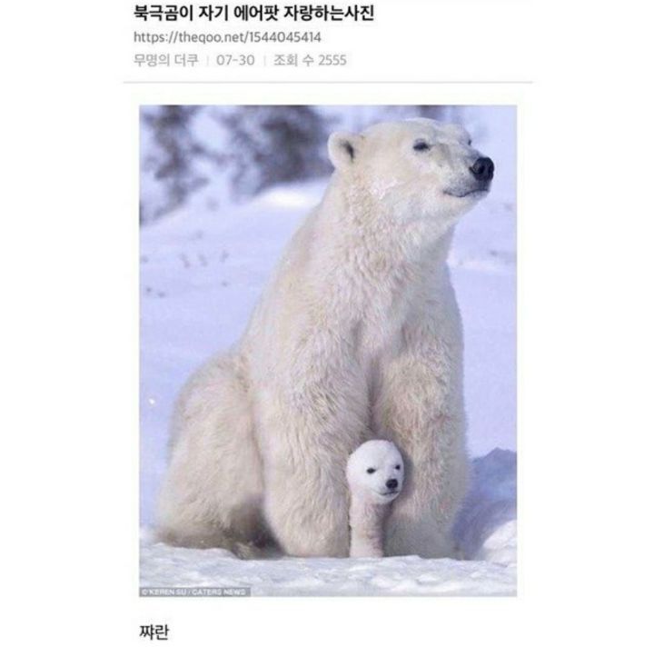 짬지zone.jpg | 인스티즈