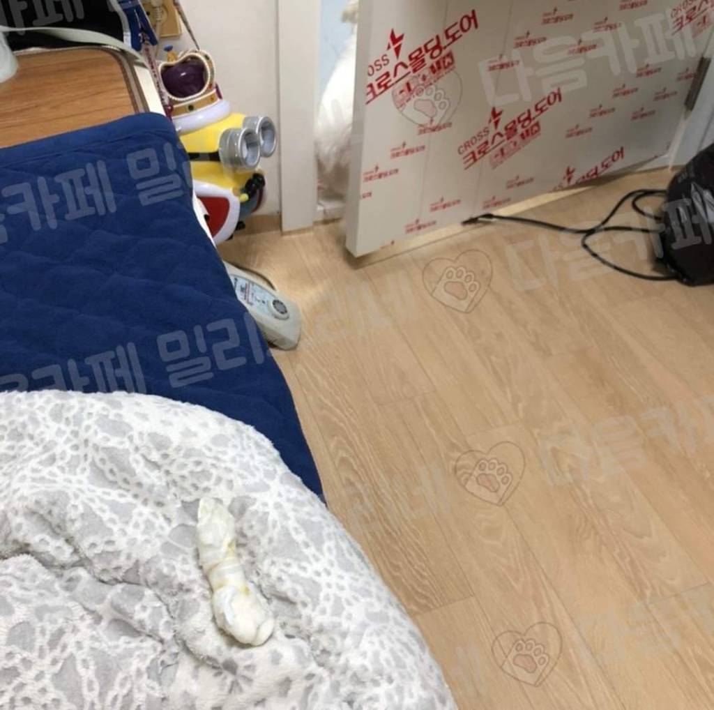 짬지zone.jpg | 인스티즈
