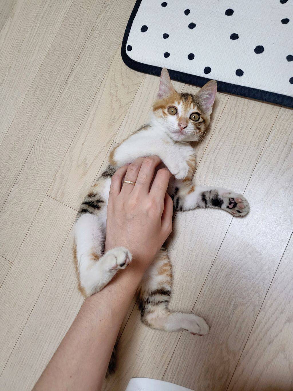 프사 땜에 못참고 사담거는 업체 직원들 넘 웃김 ++ 월요일이니까 조금 더 추가,,, | 인스티즈