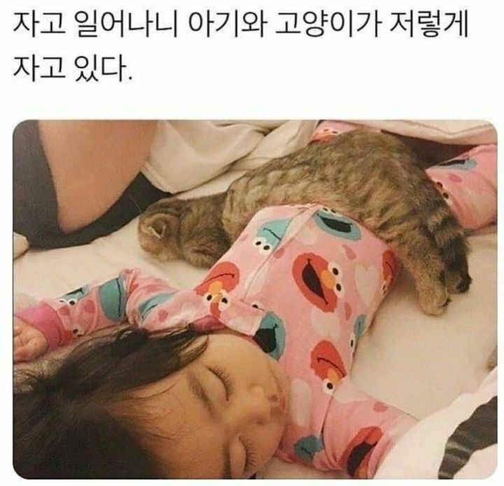 짬지zone.jpg | 인스티즈